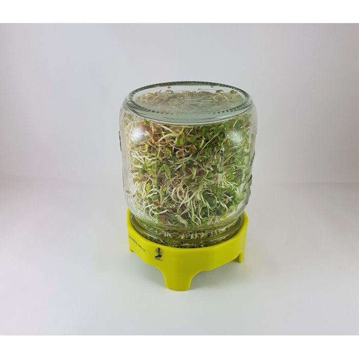 Complete Sprouting Kit (500ml or 1L, includes Organic Seeds)